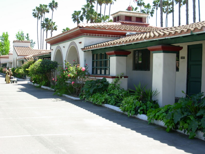 CITY OF DHARMA REALM INSTIL GOODNESS EL & DEV